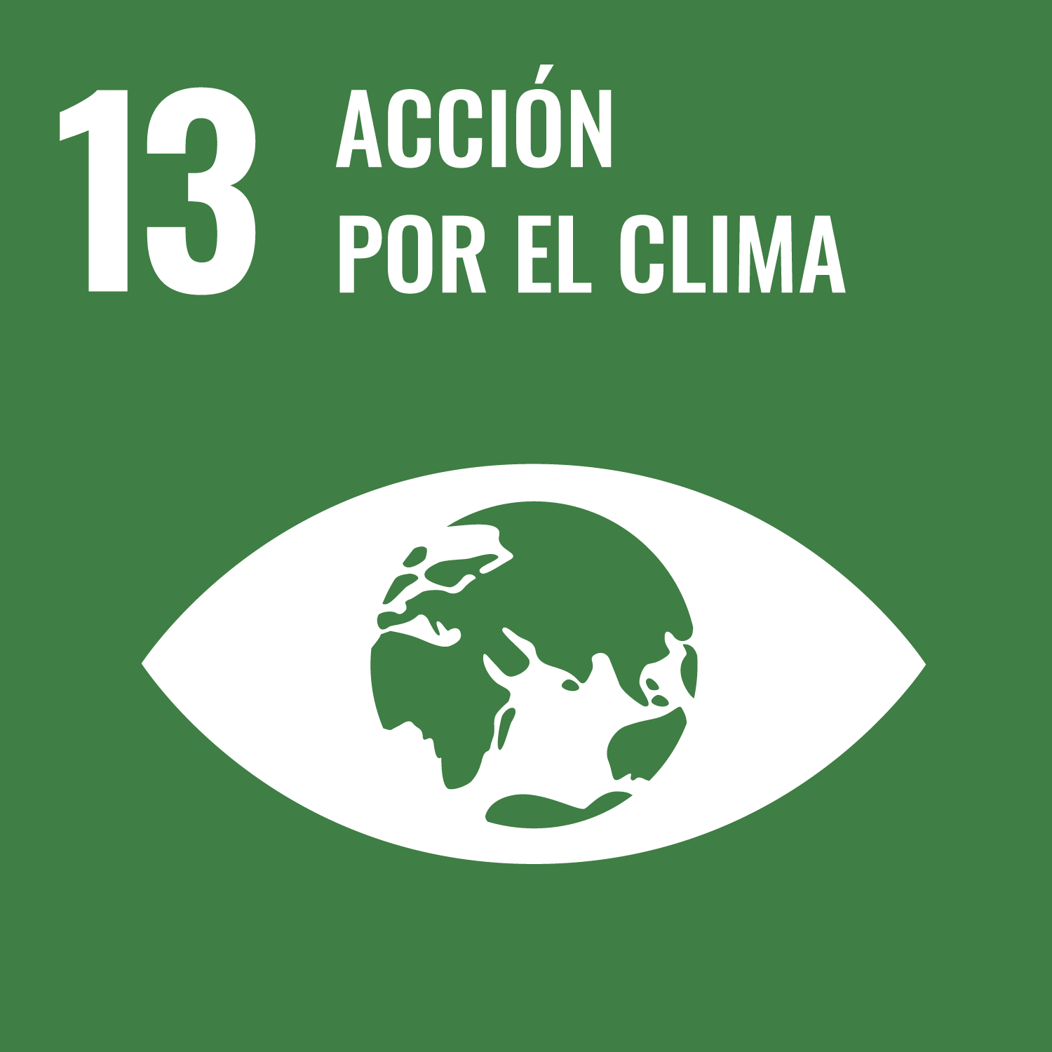 13 Acción por el Clima 