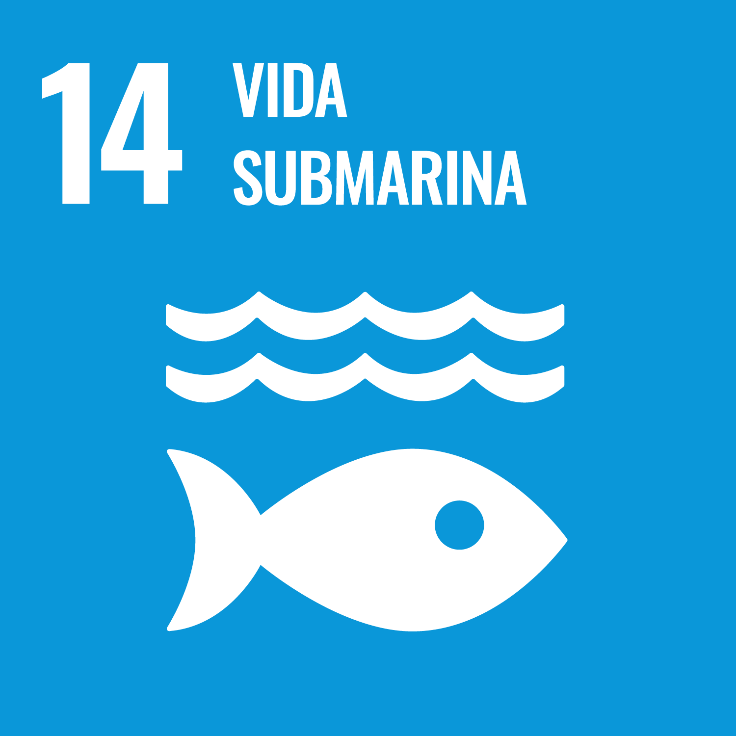 14 Vida Submarina