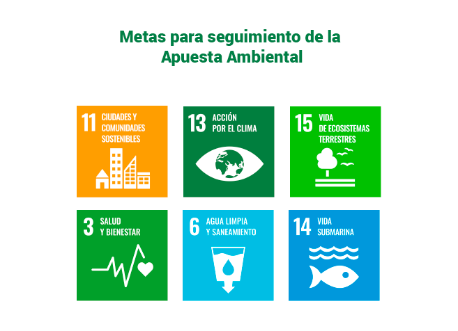 Metas Ambiental